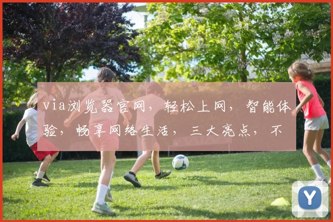 via浏览器官网，轻松上网，智能体验，畅享网络生活，三大亮点，不容错过
