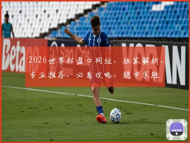 2026世界杯盘口网址，独家解析，专业推荐，必看攻略，稳中求胜
